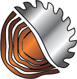 board savvy logo image